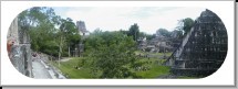 View Tikal